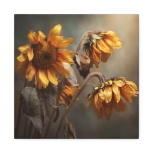 Tableau Tournesol Fané