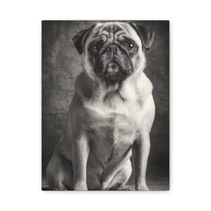 Tableau Noir & Blanc - Carlin