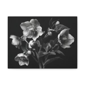 Tableau Noir & Blanc Hellebore