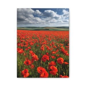 Tableau Champs de Coquelicots