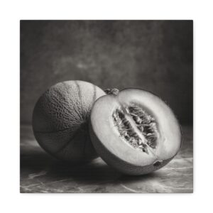 Tableau Noir & Blanc Melon
