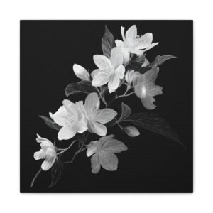 Tableau Noir & Blanc Jasmin