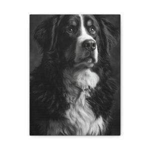 Tableau Noir & Blanc - Bouvier Bernois