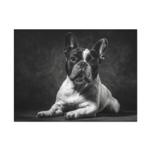 Tableau Noir et Blanc - French Bulldog