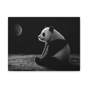 Tableau Noir & Blanc - Panda sur la lune