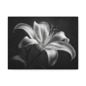 Tableau Noir & Blanc Lys