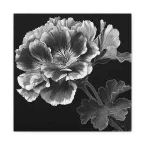 Tableau Noir & Blanc Géranium