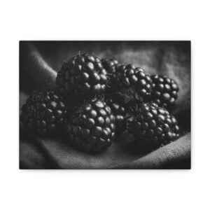 Tableau Noir & Blanc Mûre