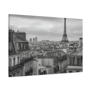 Tableau Noir et Blanc - Toits de Paris
