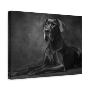 Tableau Noir et Blanc - Grand Danois