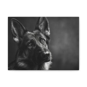 Tableau Noir & Blanc - Berger Allemand