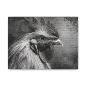 Tableau Noir & Blanc - vintage Poulet fermier