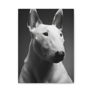 Tableau Noir & Blanc - Bull Terrier
