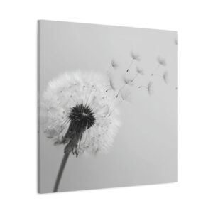 Tableau Noir et Blanc - Pissenlit