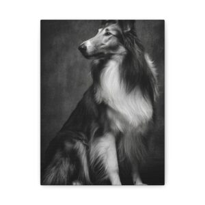 Tableau Noir & Blanc - Collie