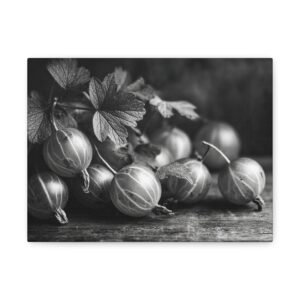 Tableau Noir & Blanc Groseille