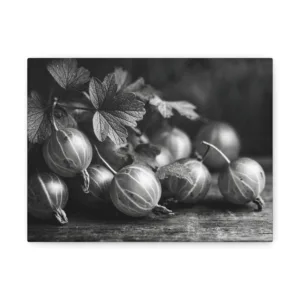 Tableau Noir & Blanc Groseille