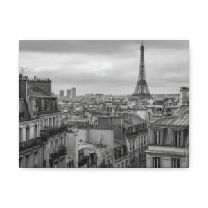 Tableau Noir & Blanc - Toits de Paris